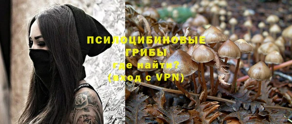 гидропоника Аркадак