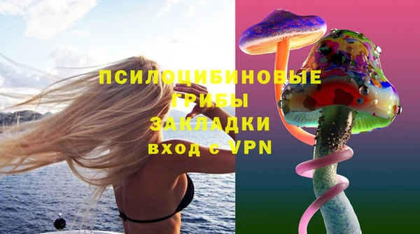 гидропоника Аркадак